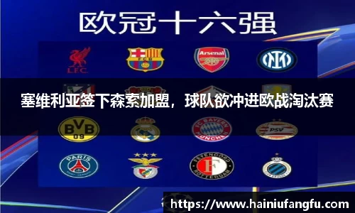 塞维利亚签下森索加盟，球队欲冲进欧战淘汰赛